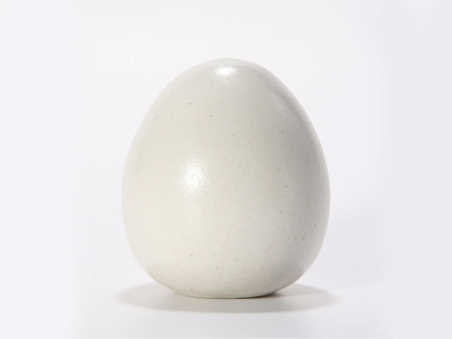 癒し空間グッズ 「 すこやか 」 ポットタイプ（大）《すこやかポット》