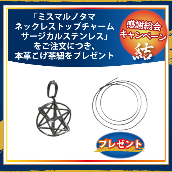 ミスマルノタマ・トップチャーム（サージカルステンレス）＋本革こげ茶紐