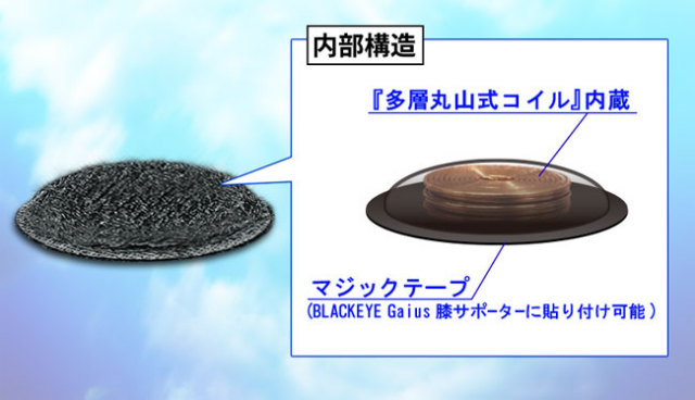 ブラックアイ ガイアス 多層丸山式チップ（内臓部）650px【丸山式シリーズ】