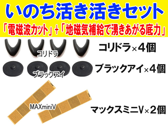 いのち活き活きセットmain (top)