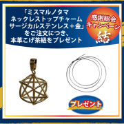 ミスマルノタマ・トップチャーム（サージカルステンレス＋金）＋本革こげ茶紐