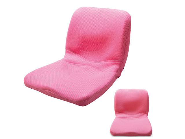 ピント（ピンク) main （背筋、座る）