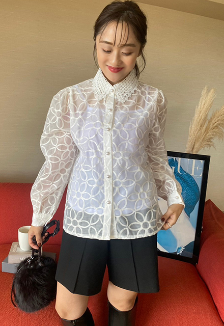 レースカラーオーガンジーブラウス【ネコポスOK】【7h-831-04814】 