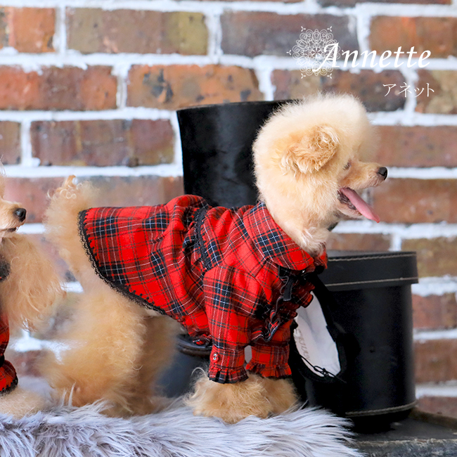 アネット（Annette）