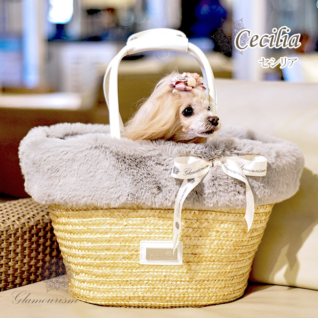 セシリア（Cecilia）