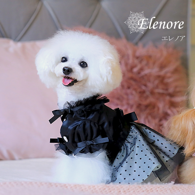エレノア（Elenore）