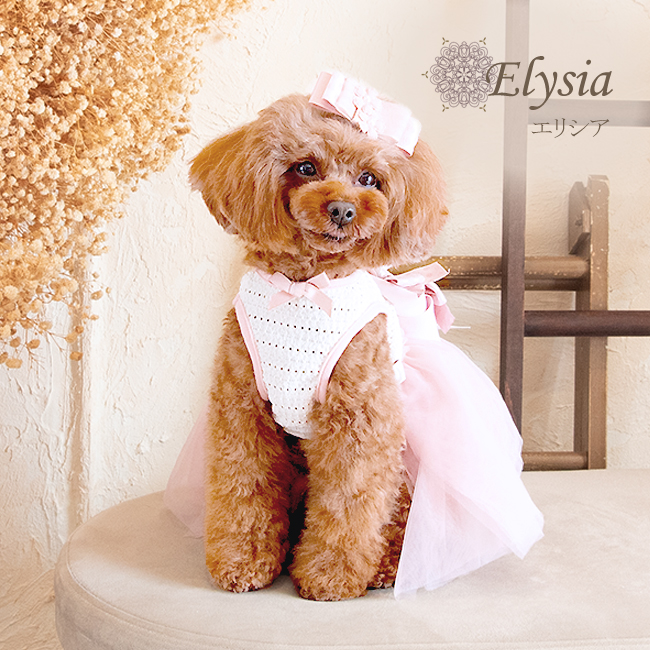 エリシア（Elysia）