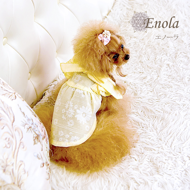 エノーラ（Enola）