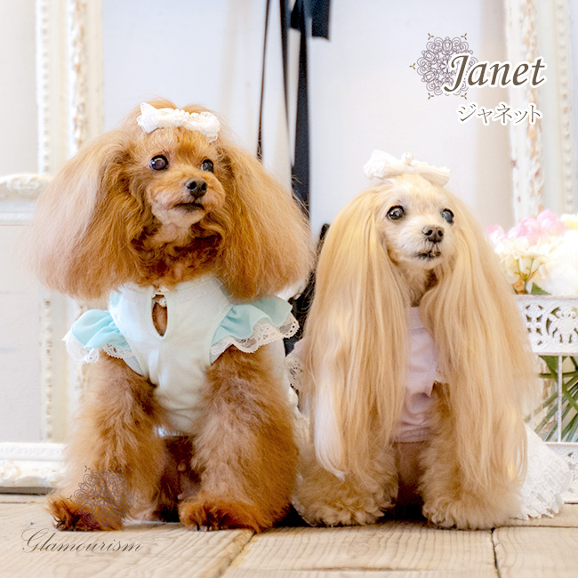 ジャネット（Janet）