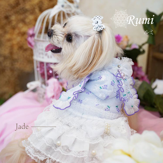 ルミ（Rumi）