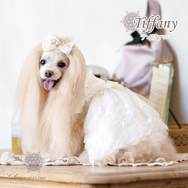 ティファニー（Tiffany）