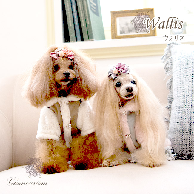 ウォリス（Wallis）