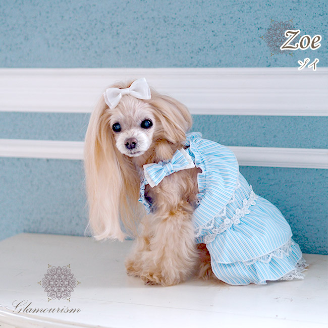ゾイ（Zoe）