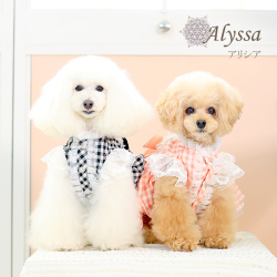 Alyssa（アリシア）