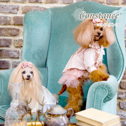 コンスタンス（Constance）