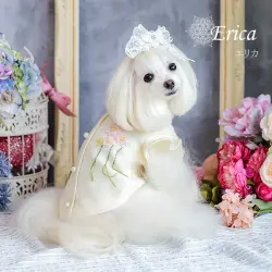 エリカ（Erica）