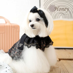 ハニー（Honey）