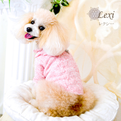 レクシー（Lexi）