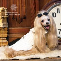 グラマーイズムルチア(Lucia)選べる2色