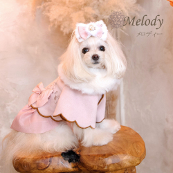 メロディー (Melody）