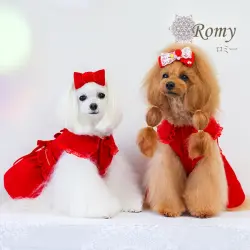 ロミー（Romy）