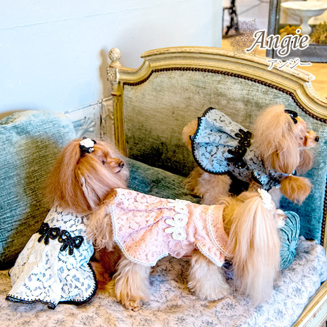 グラマーイズム ジゼル ドレス 犬服 Sサイズ