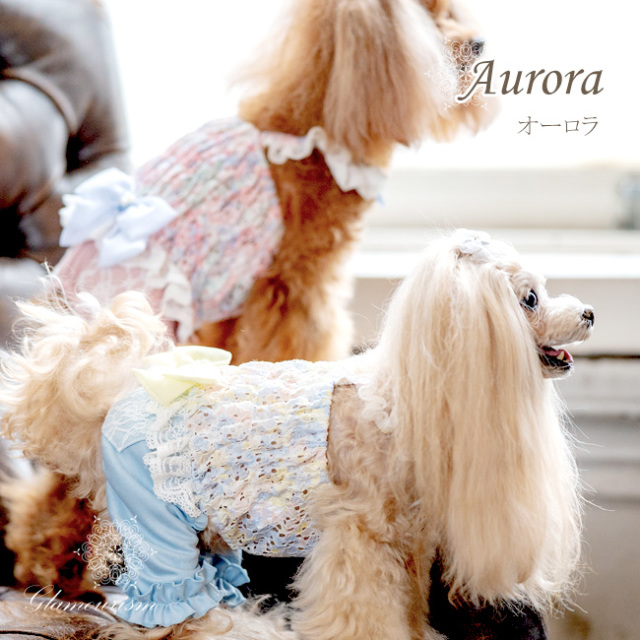 グラマーイズム Glamourism - オーロラ（Aurora）選べる2色