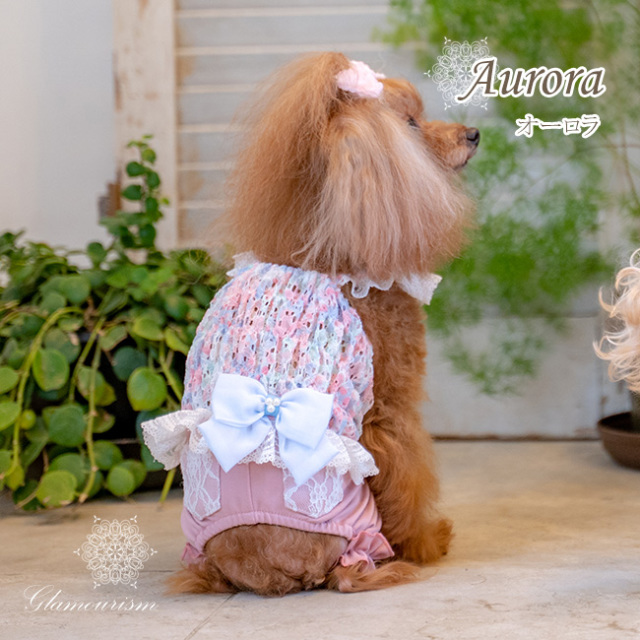 グラマーイズム Glamourism - オーロラ（Aurora）選べる2色