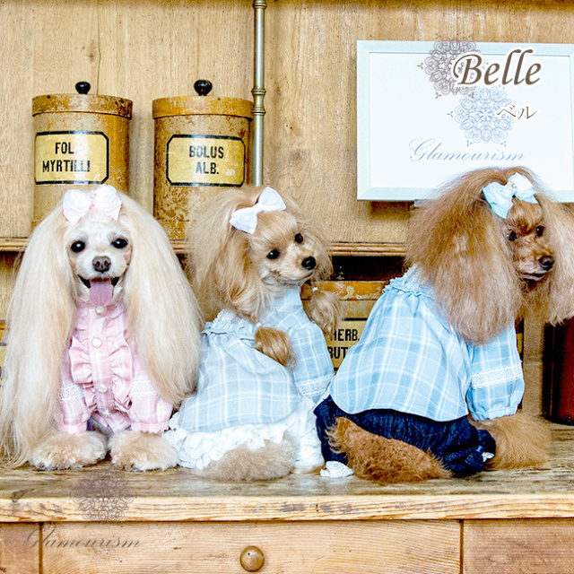 グラマーイズム Glamourism ベル（Belle）選べる3色