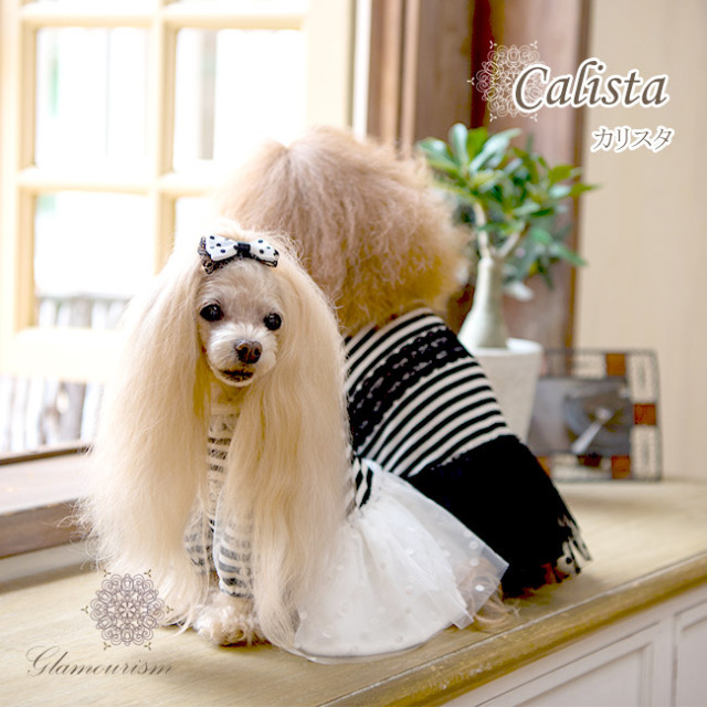 グラマーイズム Glamourism - カリスタ（Calista） 選べる2色
