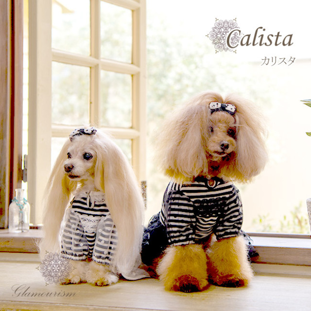 グラマーイズム Glamourism - カリスタ（Calista） 選べる2色