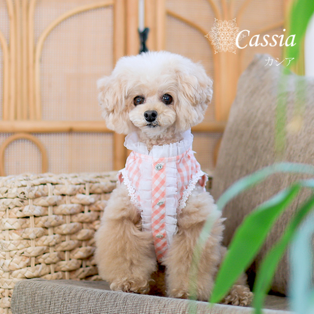 グラマーイズム Glamourism カシア（Cassia）選べる2色