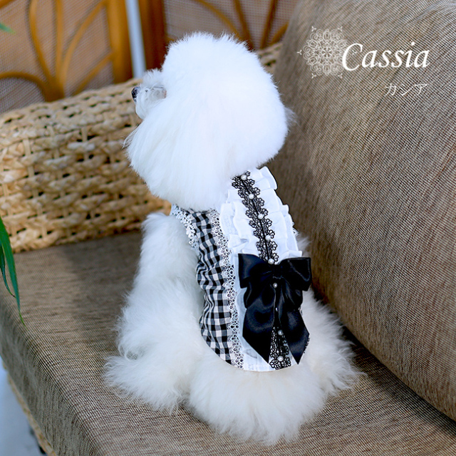 グラマーイズム Glamourism カシア（Cassia）選べる2色