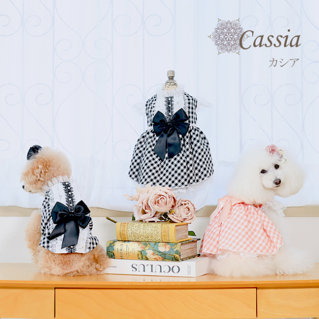 グラマーイズム Glamourism カシア（Cassia）選べる2色