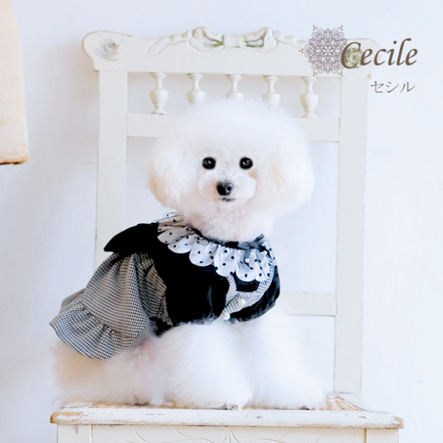 グラマーイズム Glamourism セシル（Cecile）ブラック