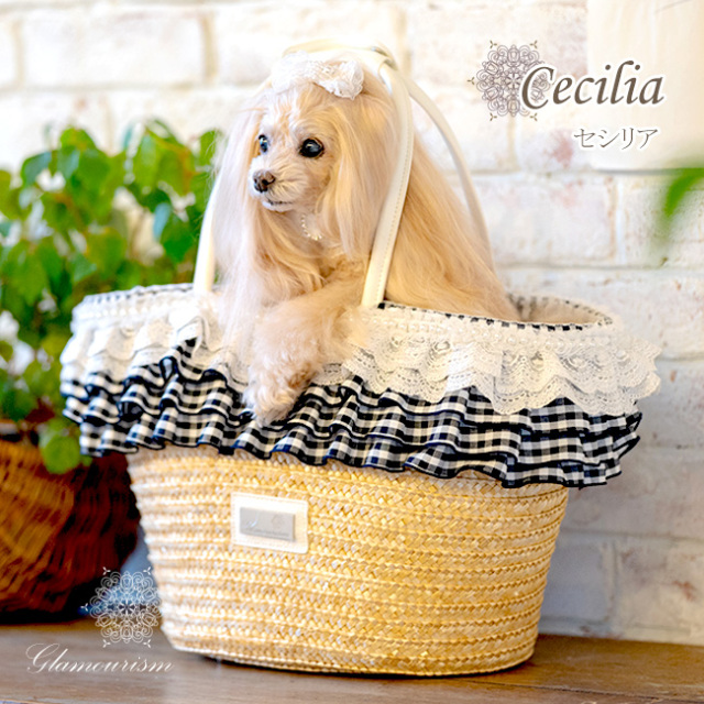 Glamourism（グラマーイズム） セシリア（Cecilia）選べる5色