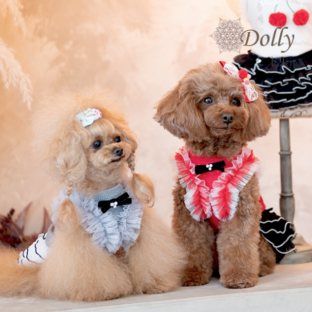 犬服ブランド グラマーイズム Glamourism ドリー（Dolly）限定品 選べる4色