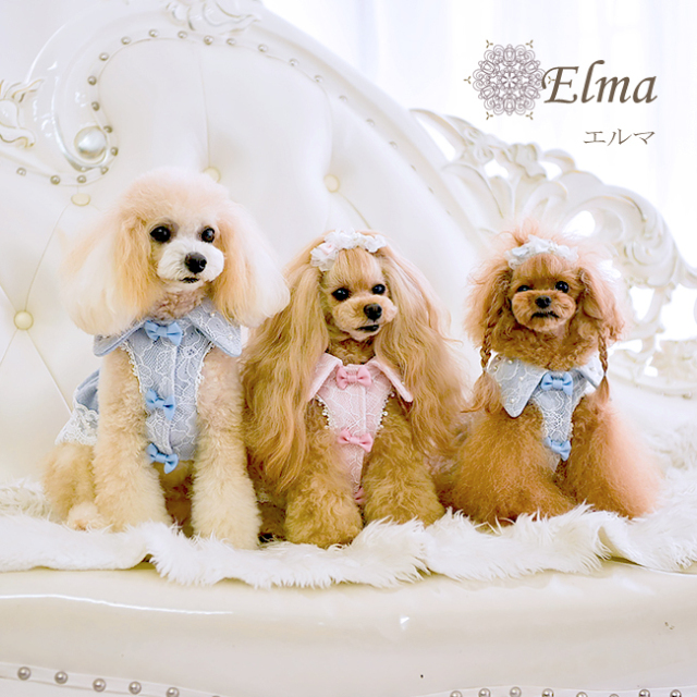 グラマーイズム Glamourism エルマ（Elma）選べる2色