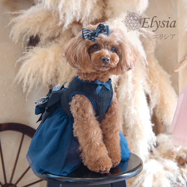 【新品特価】グラマーイズム　エリシア　ネイビー　サイズM 犬服ブランド グラマーイズム Glamourism エリシア（Elysia）選べる2色