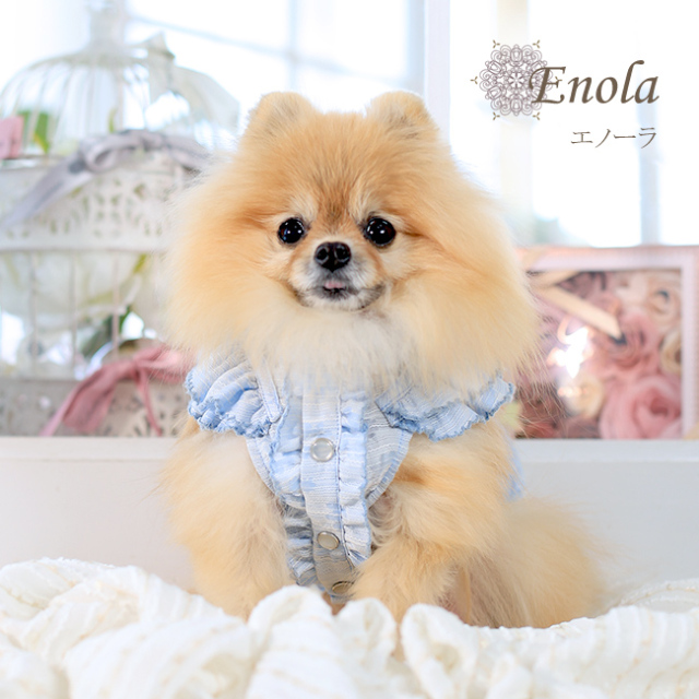 グラマーイズム Glamourism エノーラ（Enola）選べる2色