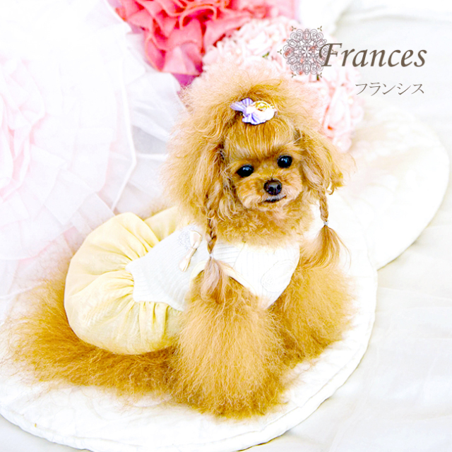グラマーイズム Glamourism フランシス（Frances）選べる2色