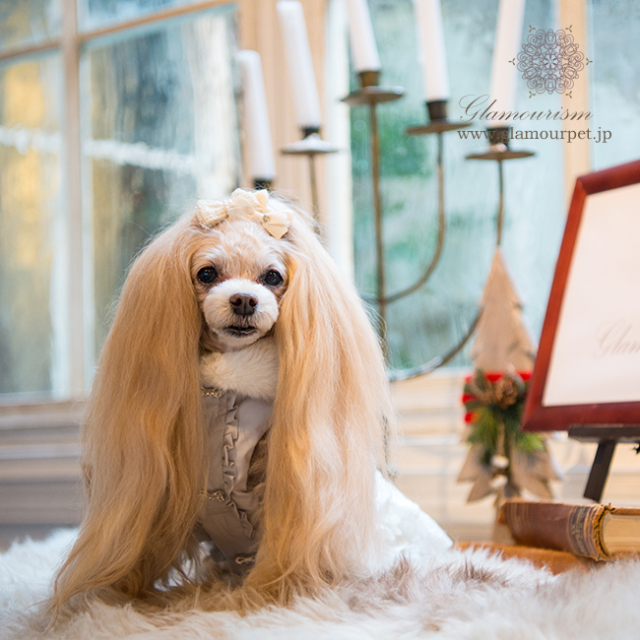 グラマーイズム Glamourism - グレイシー（Gracie）