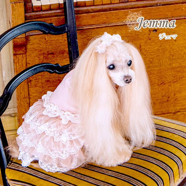 Glamourism（グラマーイズム）ジェマ（Jemma）選べる2色