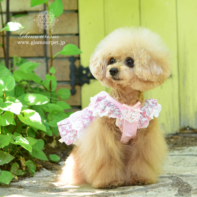 グラマーイズム Glamourism - カトリーナ（Katrina）選べる3色