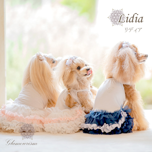 グラマーイズム Glamourism リディア（Lidia） 選べる2色