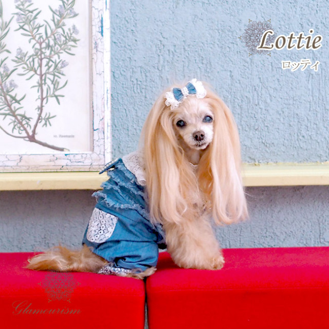 ちわわん】グラマーイズム エリシア ネイビー サイズS 犬服ブランド