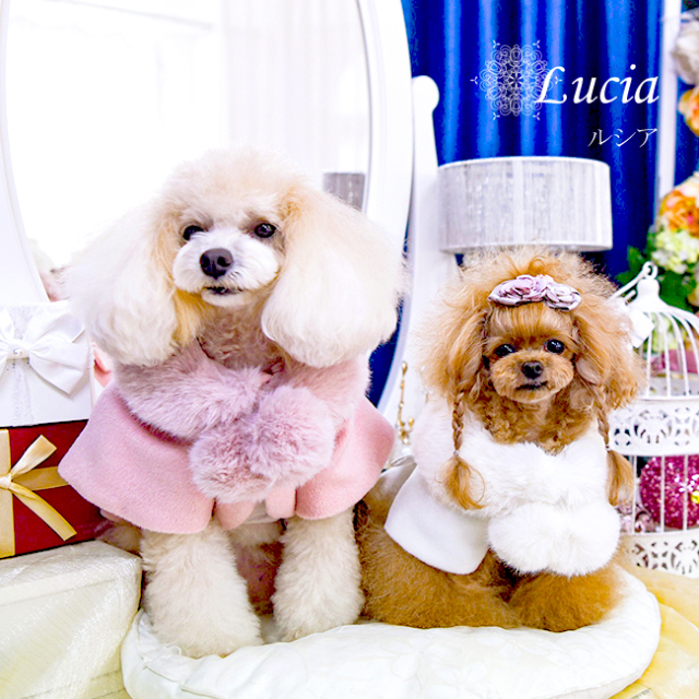 グラマーイズム Glamourism ルシア（Lucia）選べる2色