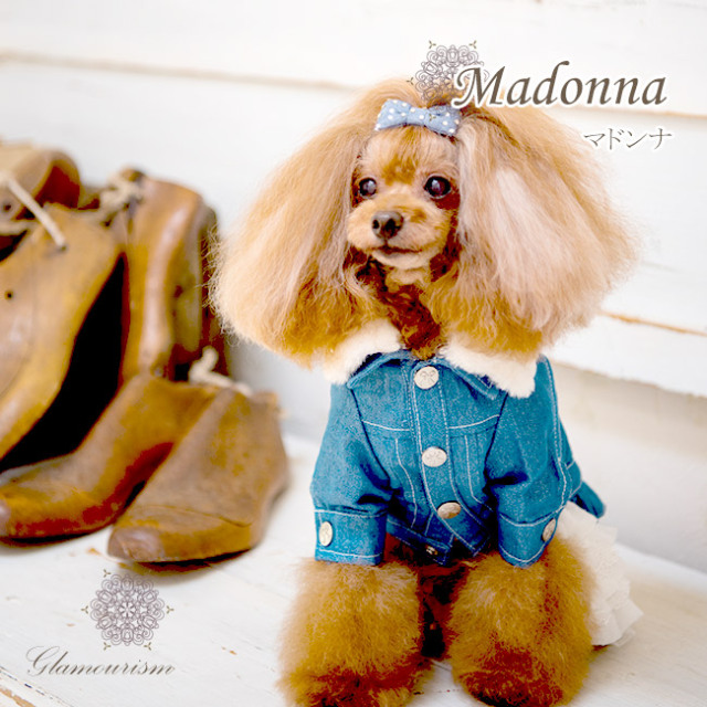 グラマーイズム Glamourism - マドンナ（Madonna） ブルー