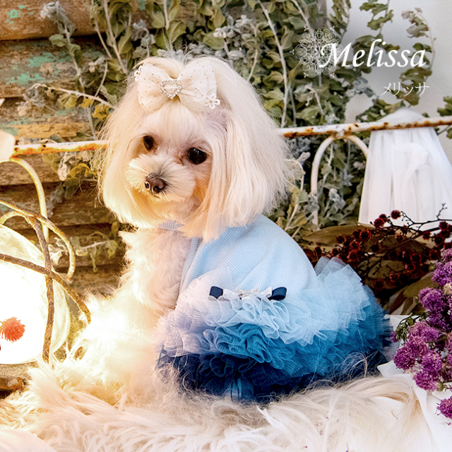 グラマーイズム Glamourism メリッサ（Melissa）選べる2色