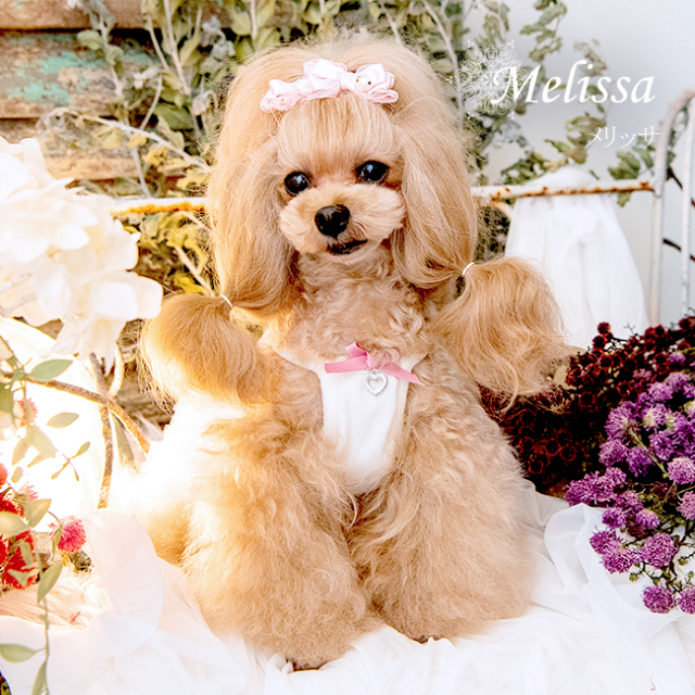 グラマーイズム Glamourism メリッサ（Melissa）選べる2色